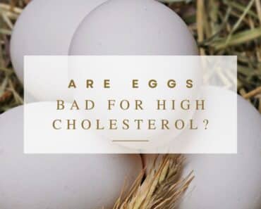 鸡蛋不利于高胆固醇吗?